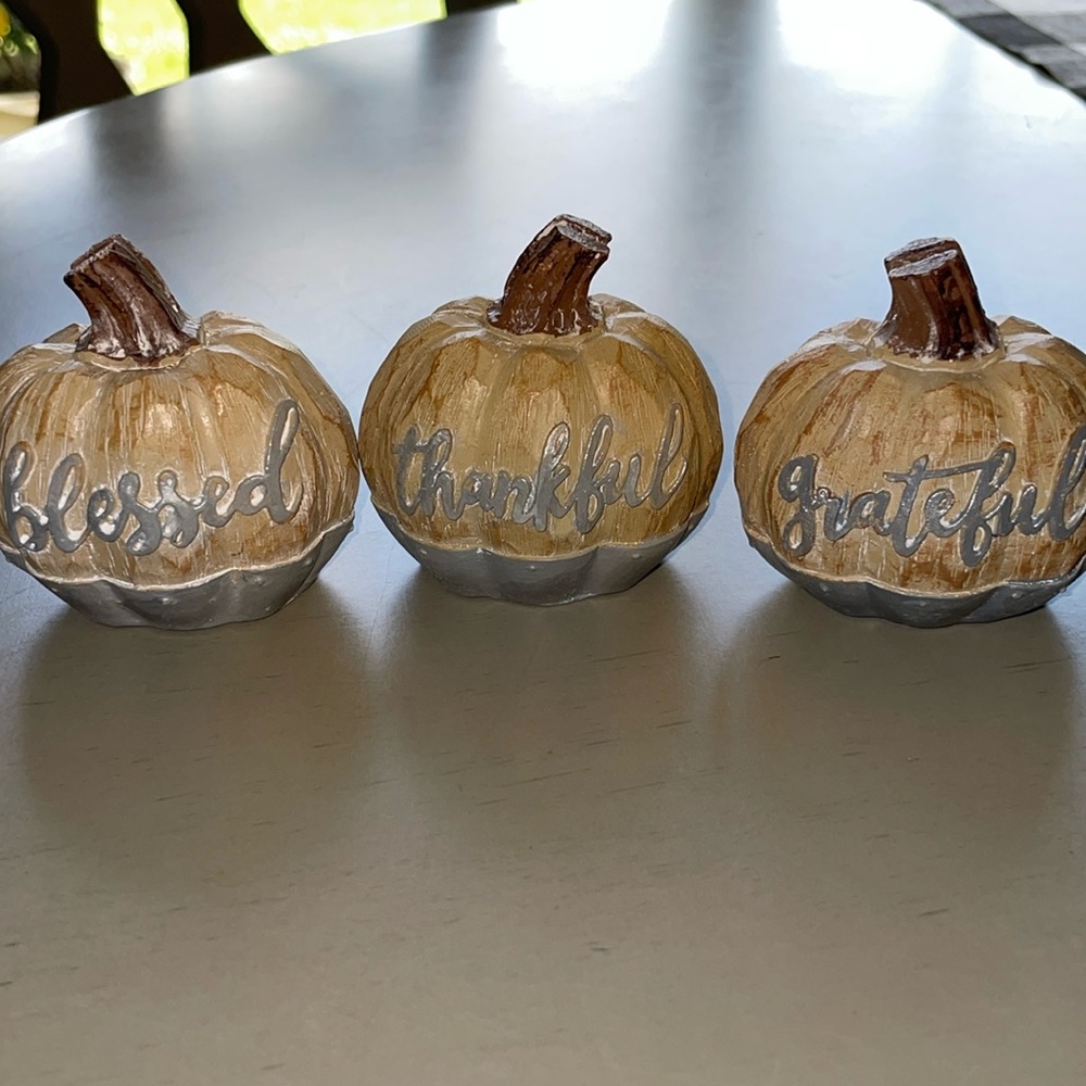 Blessed Thankful Grateful Pumpkins